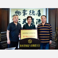 陕物联数字物流专委会成立暨“一带一路”数字物流发展论坛举办