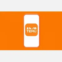 TEMU透明度报告缩写版