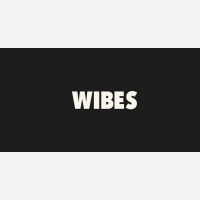 俄罗斯Wibes社交电商：扩展博主盈利计划