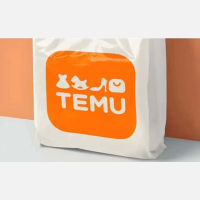 Temu在南非设立本地仓库以促次日达服务