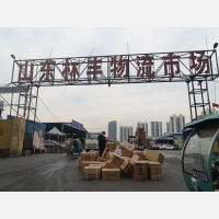 山东林丰物流市场